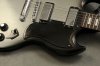 Pickguard@100.jpg